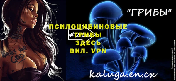 мескалин Ладушкин