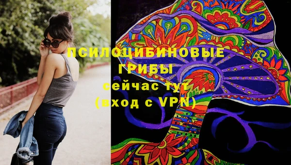 мескалин Ладушкин